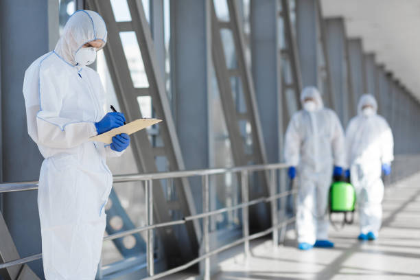 Mold Documentation for Insurance Claims in Kincheloe, MI