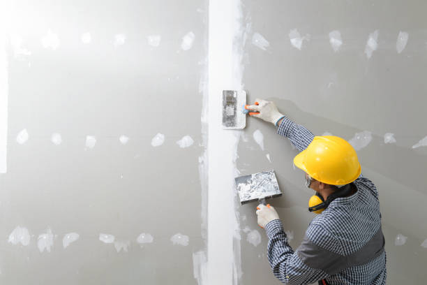 Professional Mold Removal in Kincheloe, MI