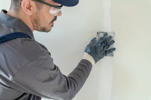 Best Environmental Consulting for Mold Prevention  in Kincheloe, MI