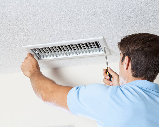 Best Mold Removal for HVAC Installations  in Kincheloe, MI